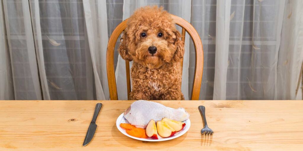 Can I Feed My Dog Raw Chicken? Proper Handling & Preparing!