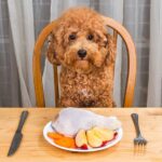 Can I Feed My Dog Raw Chicken? Proper Handling & Preparing!
