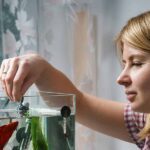 Can I Feed My Fish Lettuce? Be Aware Of This!