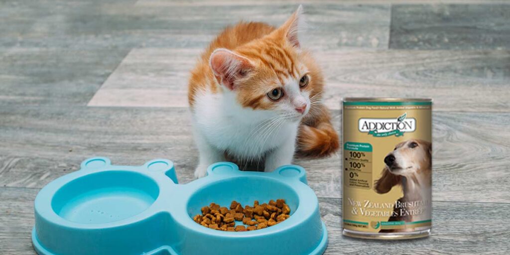 Can I Feed My Cat Dog Food?