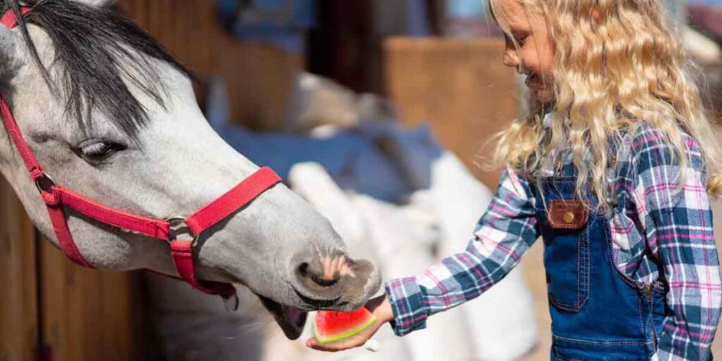 Can I feed my horse watermelon?