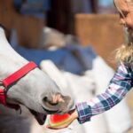 Can I feed my horse watermelon?