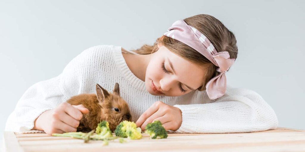 Can I Feed My Rabbit Broccoli? Which Parts? How Much?